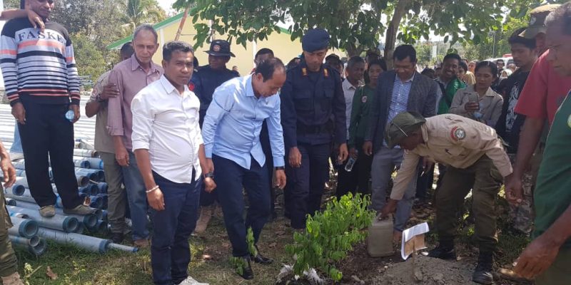 Sekretáriu Estadu Floresta kuda ai-kameli iha arredór Igreja Balibó