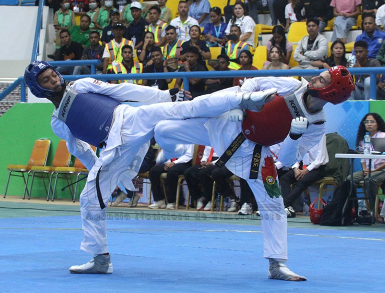 Tekondo2
