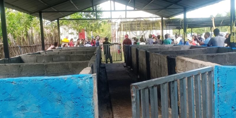 SEKOOP dezafia grupu HKMD dezenvolve aan sai kooperativa 
