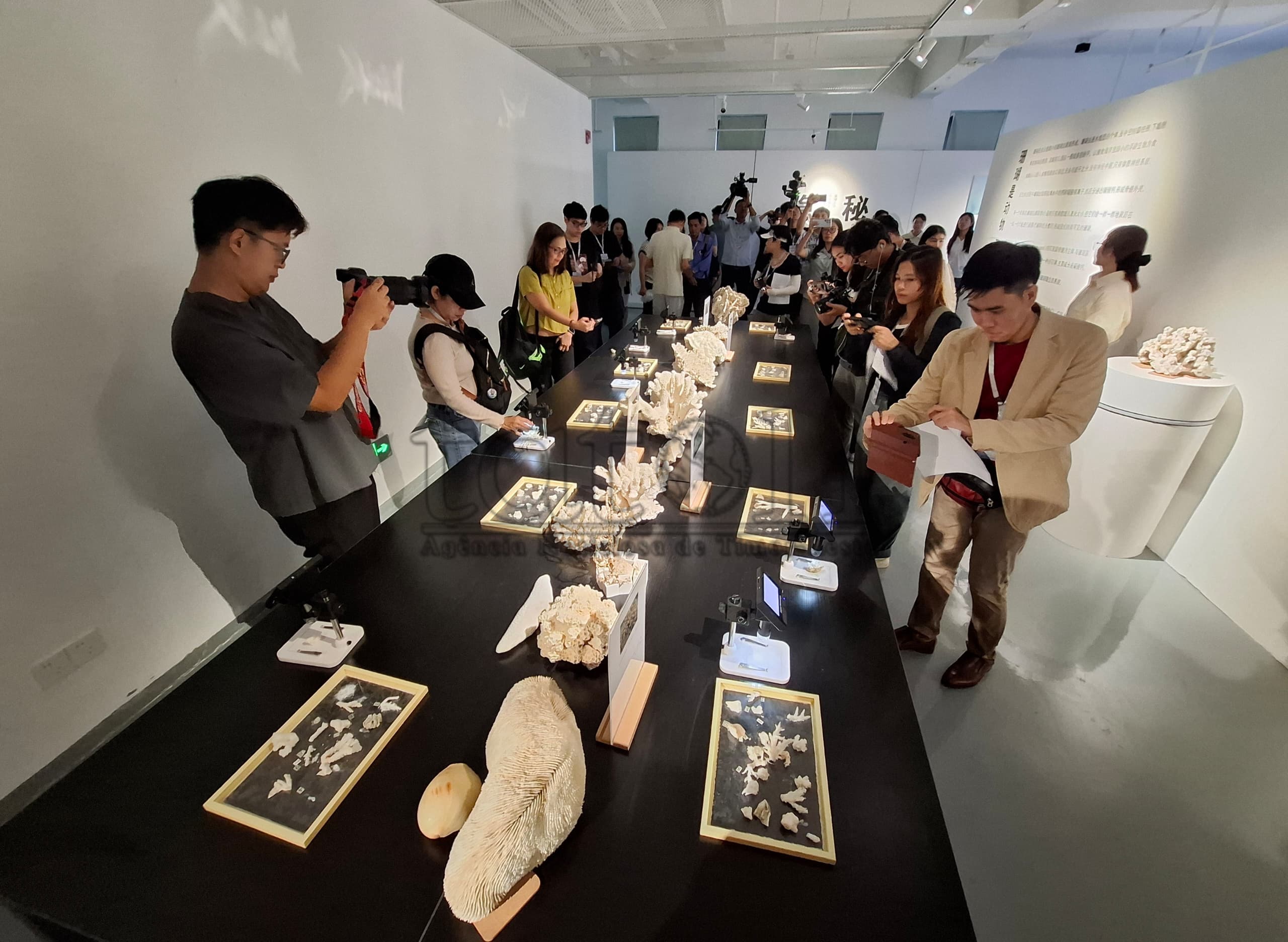FOTO ATUÁL : Jornalista sira hosi ASEAN vizita universidade Hainan Xina