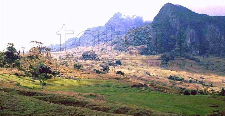 Konstrusaun irrigasaun Logobere Ossú de Cima paradu