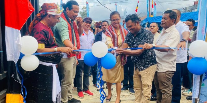 MOP inaugura projetu bee-moos iha suku Maubisse Vila