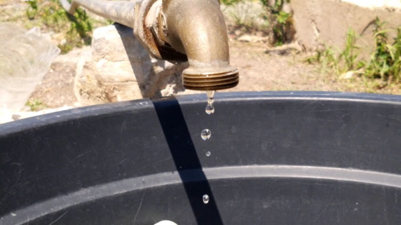 Abitante Ilat-laun enfrenta problema falta bee-moos