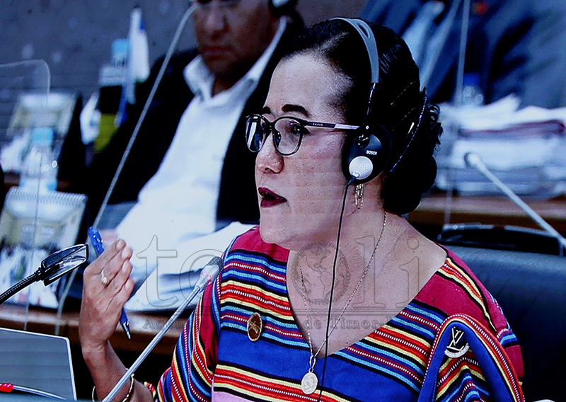 Pareser ba proposta Orsamentu Retifikativu aprovadu, 28 Maiu debate jeneralidade