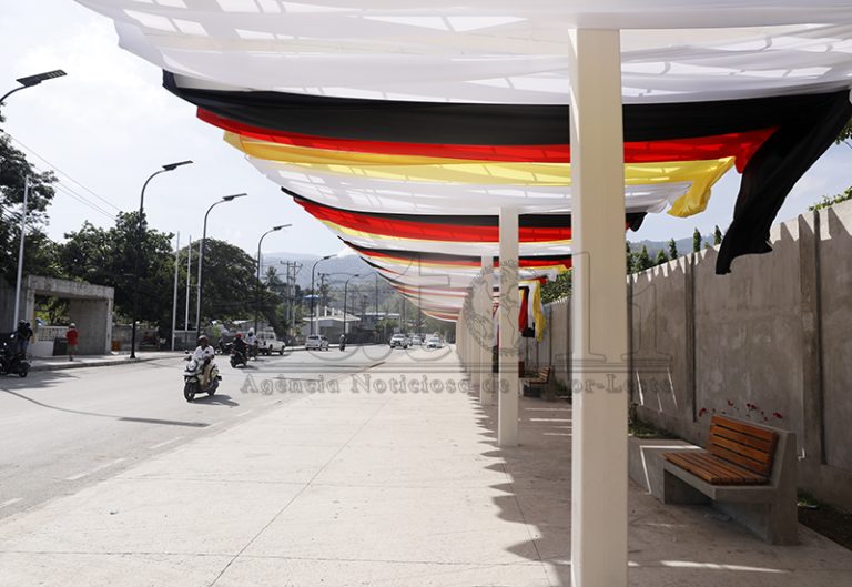 Preparasaun 12 Novembru