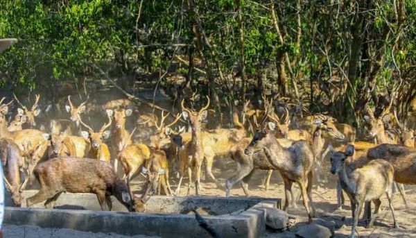 PM Xanana inaugura planta desalinizasaun iha Jaku