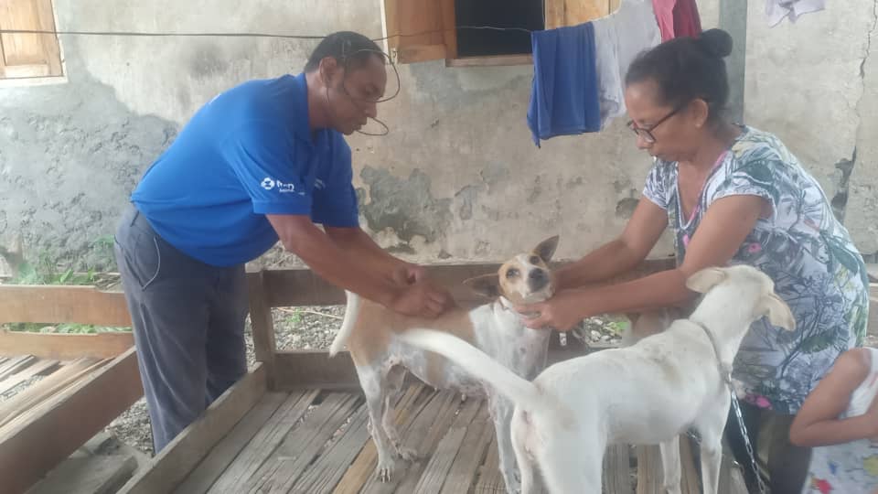 MAPPF vasina ona animál hamutuk 30.983 iha 2025