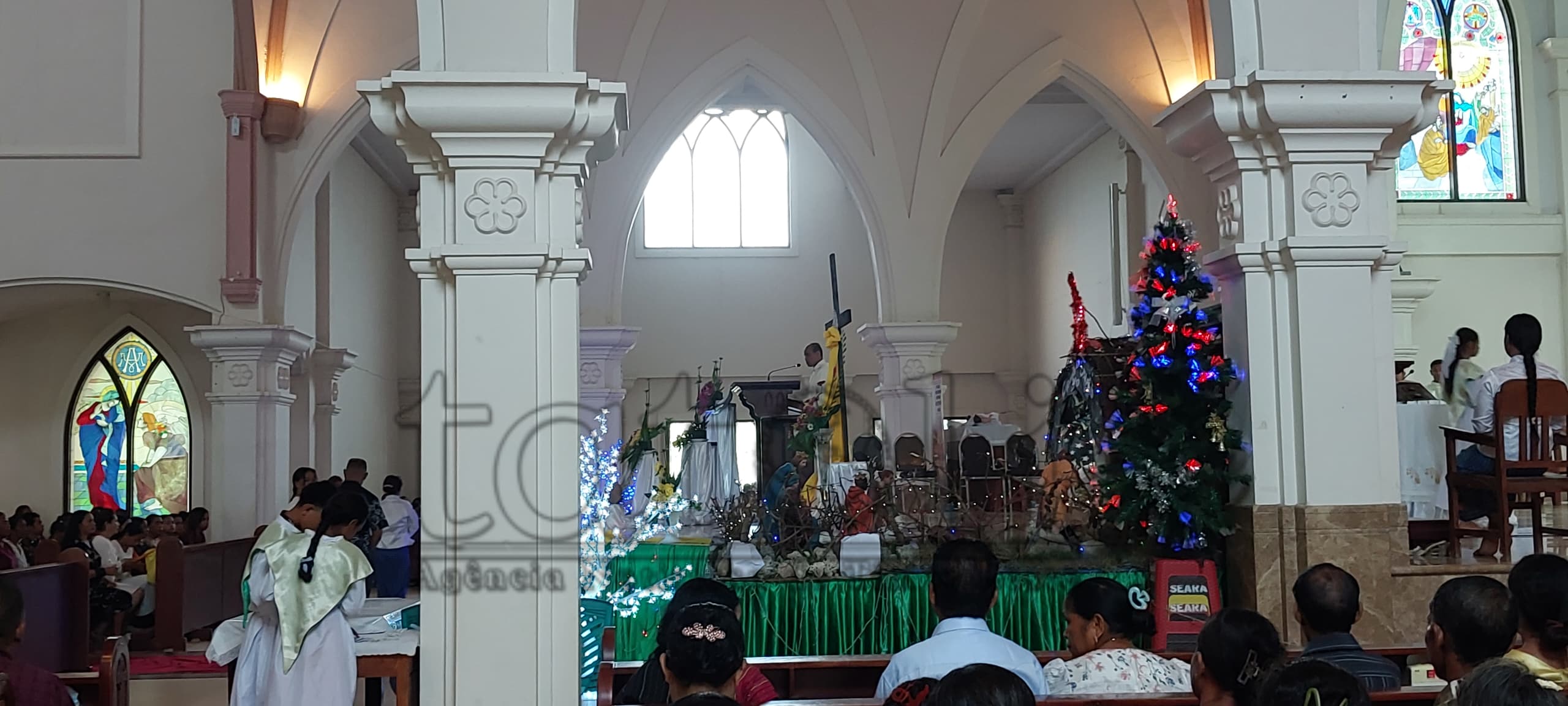 Natal lori ksolok, pás no dame ba sosiedade