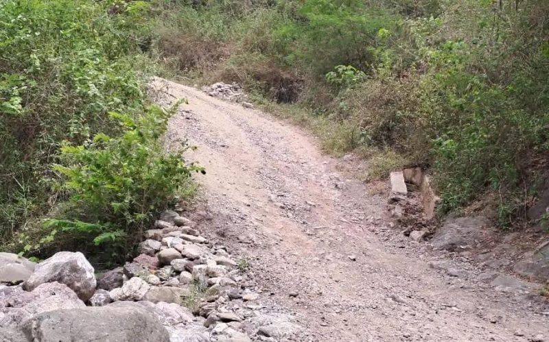 PNDS Bobonaru foka ba dezenvolvimentu estrada rurál suku Sibuni bá Homesel