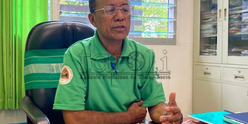 Ospitál Referénsia Maliana rejista pasiente ida mate ho dengue