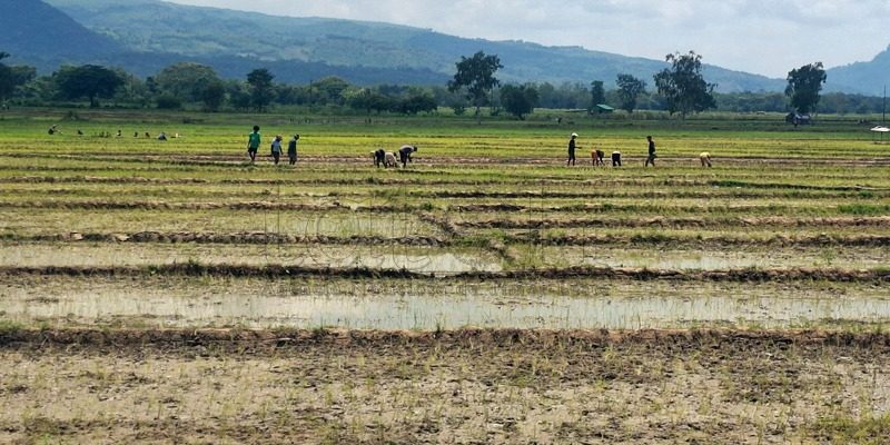 Empreza no ministériu koopera ba produsaun iha área rurál hodi kanaliza ba merkadu