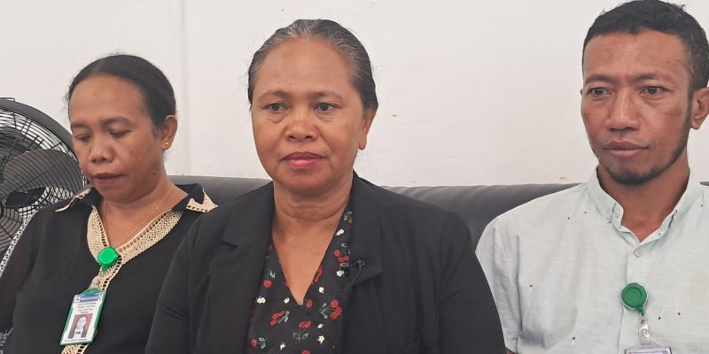 SMSB rejistu kazu dengue iha Janeiru hamutuk 43