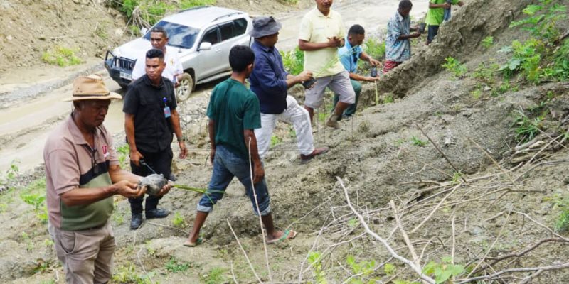 Prevene erozaun, Autoridade RAEOA ho ONG ALAO kuda du’ut Vetiver iha estrada Paut