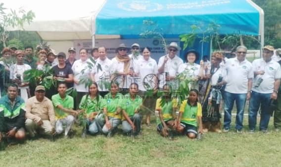 Floresta no ekonomia mak motór ba dezenvolvimentu sustentavel iha área rurál 