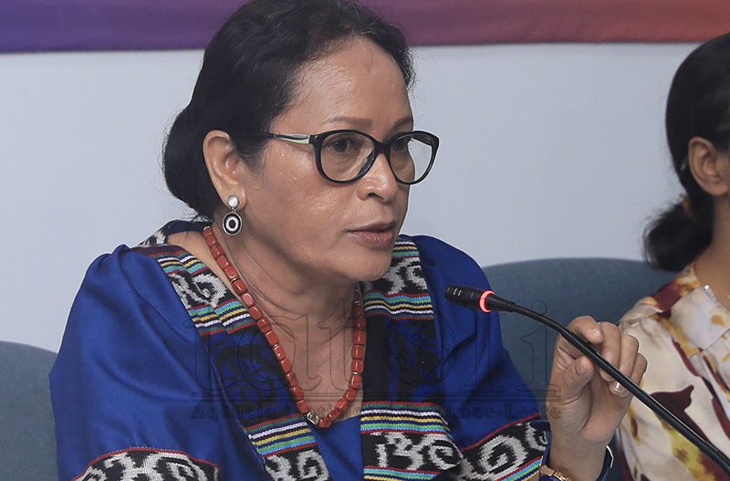 Komisaun F hakarak foti referénsia kona-ba implementasaun Lei Traballadór Doméstiku husi Filipina