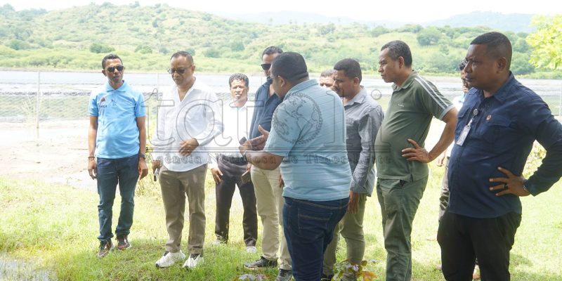 MCI observa sentru produsaun masin iha Oekusi, prosesu kolleta iha tempu-badak