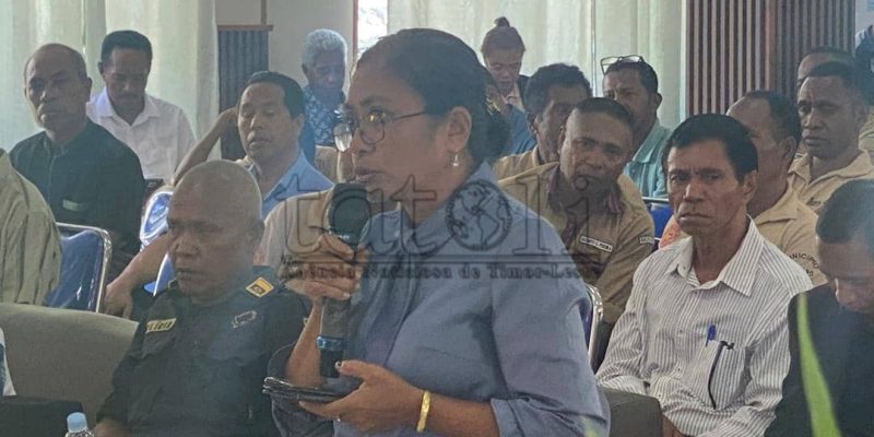 Família husu apoiu ba Estadu atu harii monumentu ba Saudozu ‘Asucoli’