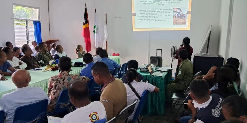 Autoridade Baukau reativa ekipa Task Force hasoru Raiva