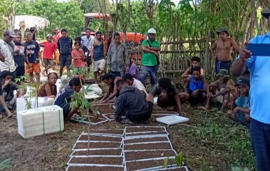 Estensionista Uatukarbau fasilita formasaun jerminasaun fini-hare ba natar na’in