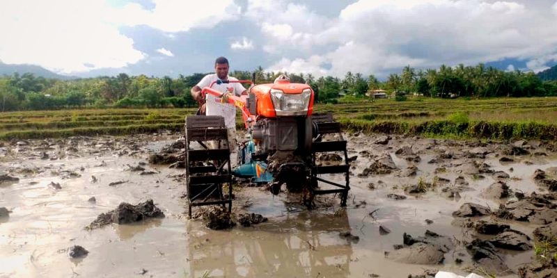Ministériu Agrikultura distribui fini hare tonalada 9 ba natar na’in Uatulari