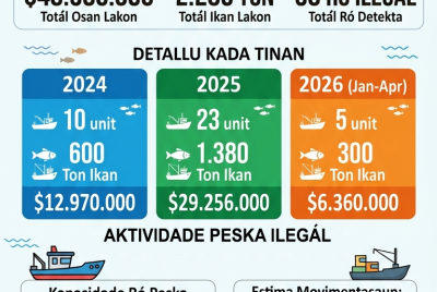 Infografia: 2024-2026, Timor-Leste lakon millaun $48-resin tanba atividade peska illegal