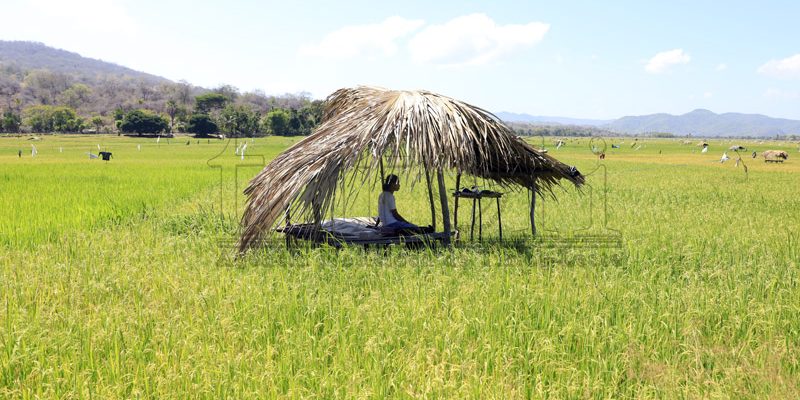 Programa Merenda Eskolár benefísia to’os na’in Vikeke