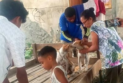 Baukau deteta raiva, Vikeke husu vasinasaun kontinua