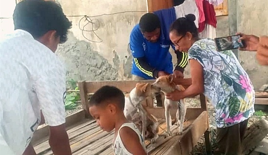 Baukau deteta raiva, Vikeke husu vasinasaun kontinua