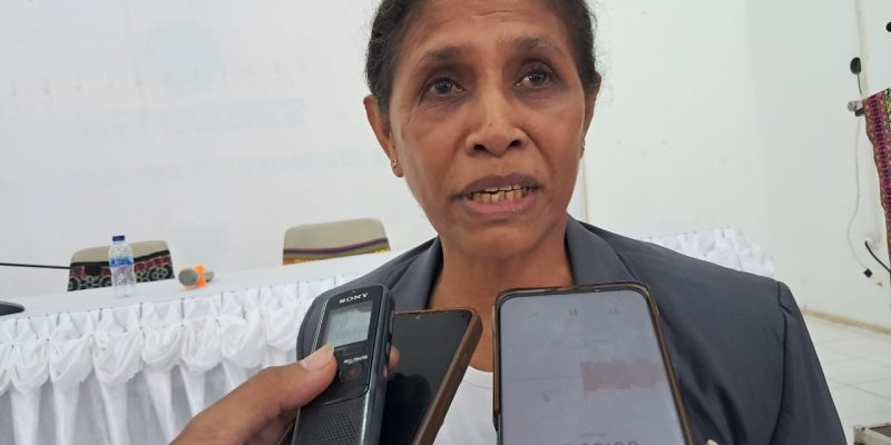 SEATOU sosializa Dekretu-Lei Ijiene no Orden Públika iha Baukau