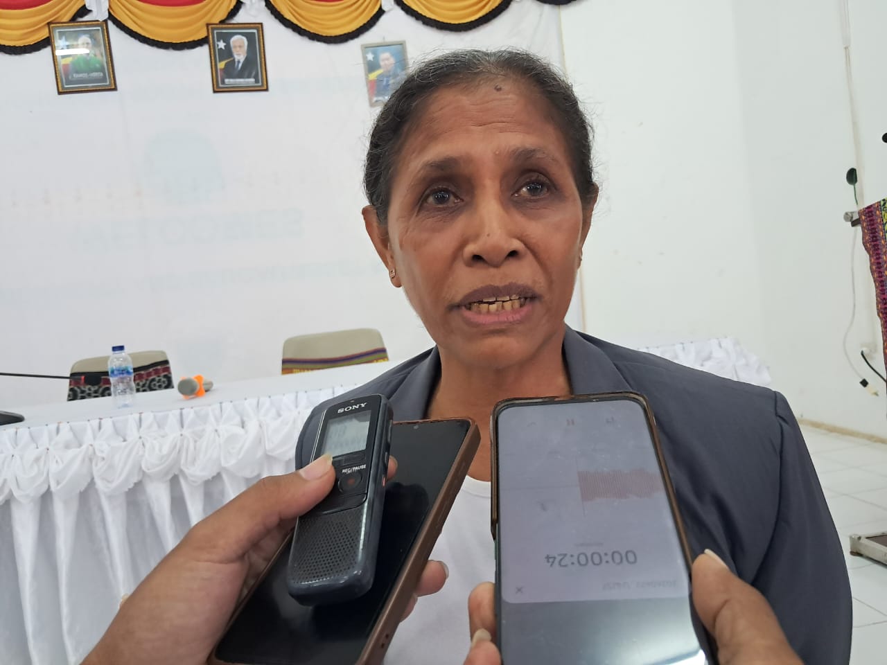 SEATOU sosializa Dekretu-Lei Ijiene no Orden Públika iha Baukau