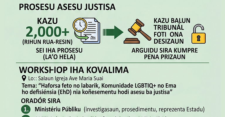 Infografia: ALFELA rejista kazu violénsia domestika rihun 7-resin iha terróriu nasionál