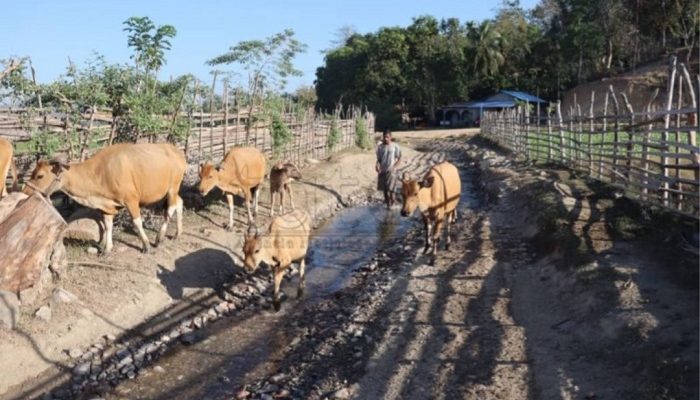 Governu presiza aselera prosesu estrada Kailaku hodi fó benifísiu tanejivél ba povu