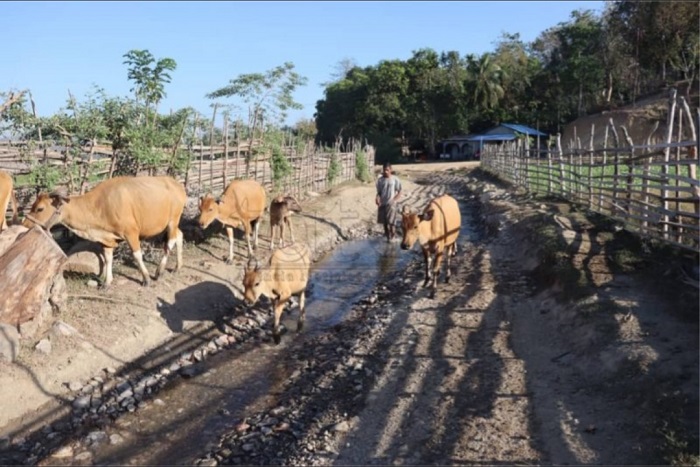 Governu presiza aselera prosesu estrada Kailaku hodi fó benifísiu tanejivél ba povu
