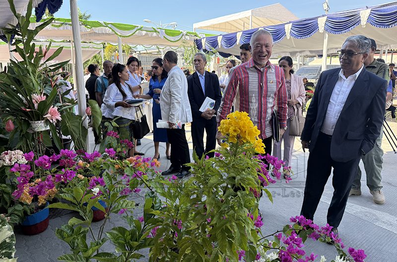 Mini Expo Florikultura promove ai-funan nativa