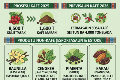 Infografia: CCT esporta ona kafé tonelada 1.600 bá nasaun lima