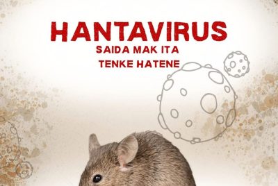 OMS: Hantavirus hanesan grupu ida husi virus roedor ka laho