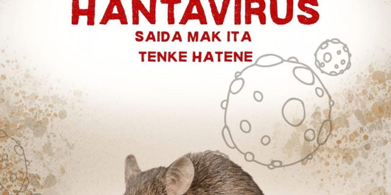 OMS: Hantavirus hanesan grupu ida husi virus roedor ka laho