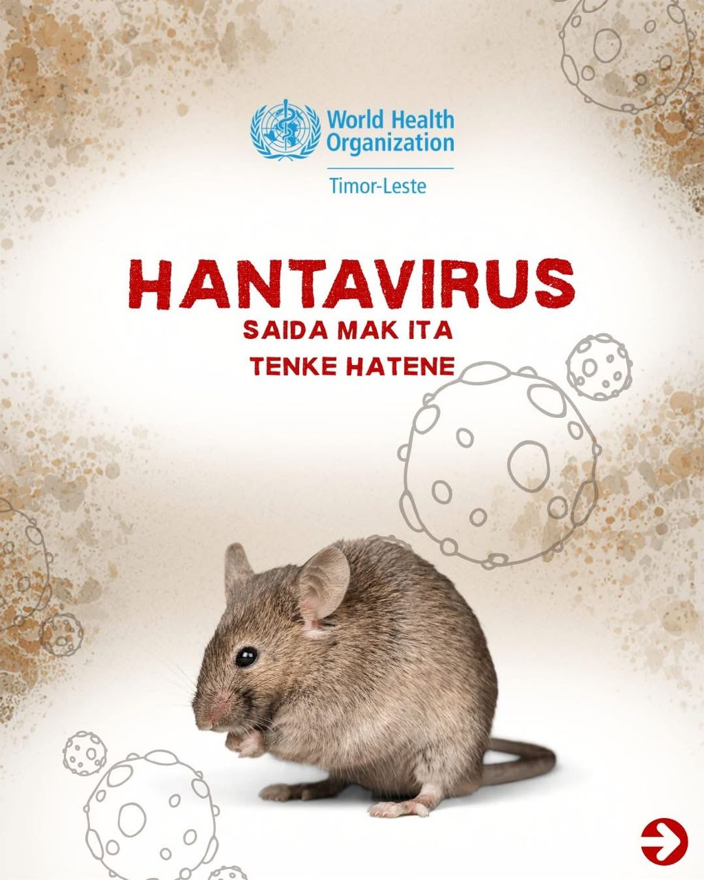 OMS: Hantavirus hanesan grupu ida husi virus roedor ka laho