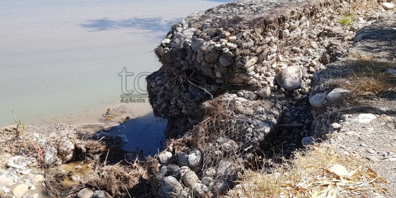 Bee-mota sobu muru protesaun iha fronteira Mozon-Tunibibi
