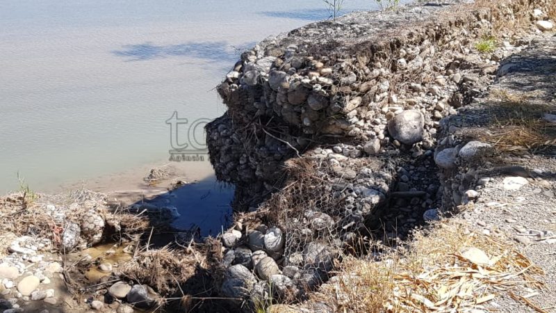 Bee-mota sobu muru protesaun iha fronteira Mozon-Tunibibi