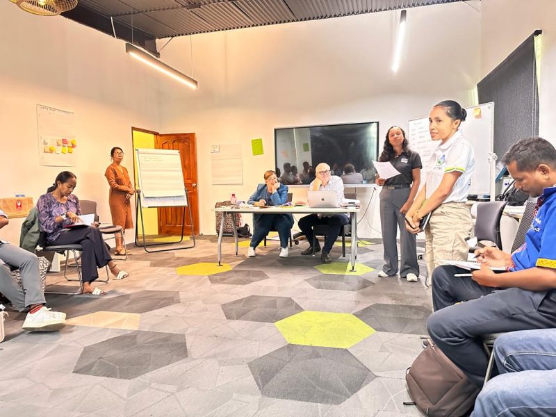 Jerente mídia iha Timor-Leste partisipa formasaun kona-ba Lideransa Sala Redasaun nian