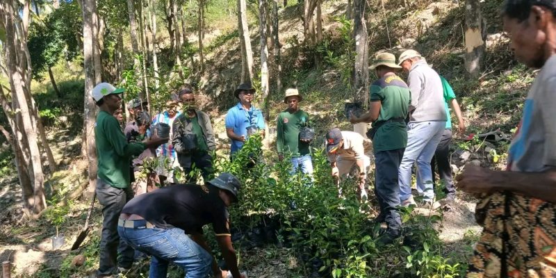 Empreza Funan-Buras investe Saburaka 143 ba komunidade Soilesu