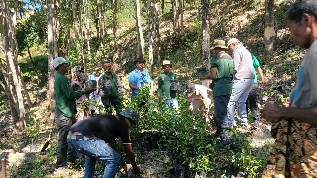 Empreza Funan-Buras investe Saburaka 143 ba komunidade Soilesu