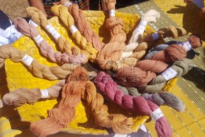 MKI fasilita soru-na’in Bobonaru prodús kór naturál 39 ba haburas tais lokál