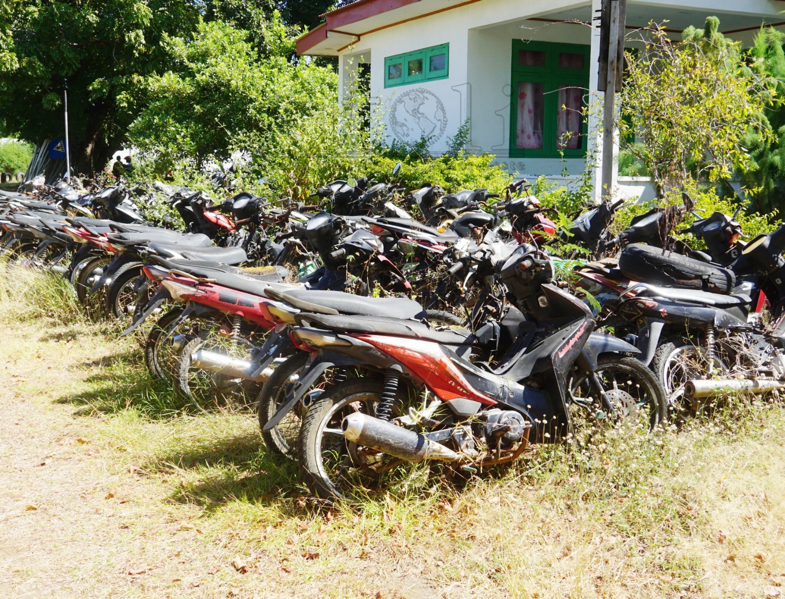 Transporte Oekusi sei halo leilaun públiku ba motorizada 91