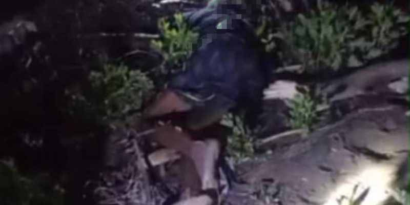 ESB lakon vida hafoin monu husi tua-akadiru iha Uai-wono