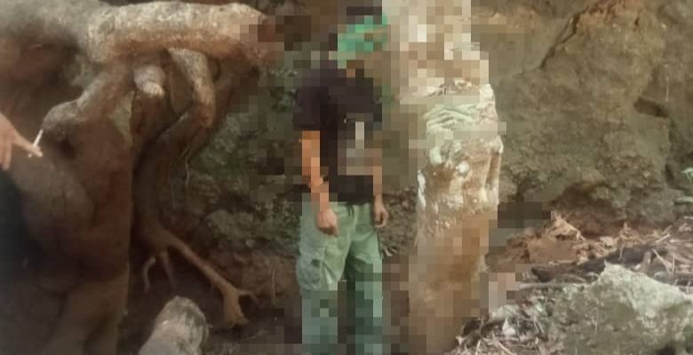 Domingos Soares hakotu vida liuhusi tara-an iha Gariuai