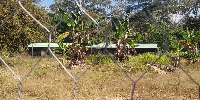 Komunidade husu auditoria ba Programa Haki’ak Manu Mareko ne’ebé paradu iha Tunubibi